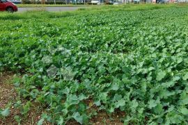 TOP LOKACIJA NASUPROT TRGOVAČKOG CENTRA, Varaždin, Land