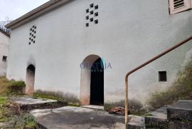 Zvoneća - prostrana komotna starina za renovaciju s pripadnim objektima i velikim terenom, Matulji, Famiglia