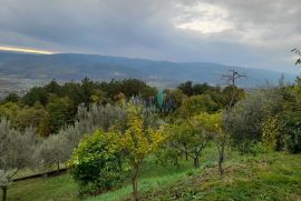 Buzet - samo kod nas, prelijepa katnica s bazenom i velikim imanjem, Buzet, Дом