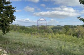 Građevinsko i poljoprivredno zemljište, Škrapi, Trviž, Pazin - Okolica, Terreno