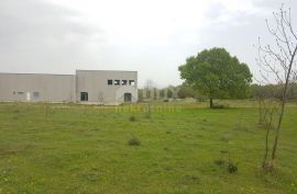 ISTRA, BARBAN - Građevinsko zemljište sa proizvodnom halom, 29456 m2, Barban, Tierra