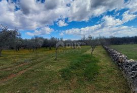 ISTRA, MARČANA - Kombinacija građevinskog i poljoprivrednog zemljišta na mirnoj lokaciji!, Marčana, Zemljište