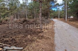 RUDANOVAC ( Plitvice) - obiteljska kuća i okućnica 892 m2, Plitvička Jezera, House