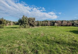 Zemljište za vikend odmor u Šišanu, Ližnjan, Ližnjan, Land