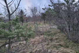 ISTRA, LUPOGLAV - Prostrano poljoprivredno zemljište u cjelini, Lupoglav, Terrain