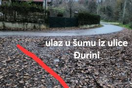 Šuma, Gornja Dubrava, Zemljište