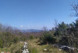 ISTRA, RAKALJ, ZEMLJIŠTE U MIRNOM OKRUŽENU I PANORAMSKIM POGLEDOM NA MORE, Marčana, Terra