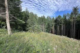 RAVNA GORA - Kompleks zemljišta s idejnim projektom, Ravna Gora, Land