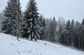 RAVNA GORA - Kompleks zemljišta s idejnim projektom, Ravna Gora, Land