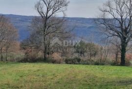 ISTRA, BARBAN - Kompleks građevinskog 2200 m2 i poljoprivrednog 1005 m2 zemljišta, zadnje u građevinskoj zoni, Barban, Terrain