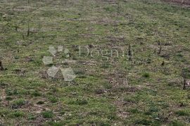 Zemljište za solarnu energanu, Petrijanec, Terrain