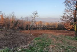 ISTRA, LABIN - Prilika! Građevinsko zemljište (2182 m2), prekrasan otvoreni pogled, Pićan, Terrain