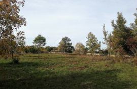 ISTRA, VODNJAN - Poljoprivredno zemljište 8229m2!, Vodnjan, Arazi