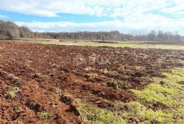 ISTRA, BARBAN - Kompleks zemljišta na rubu naselja, Barban, Γη