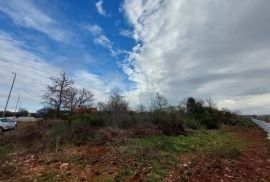 ISTRA, GALIŽANA - Zemljište industrijske namjene u industrijskoj zoni, Vodnjan, Zemljište