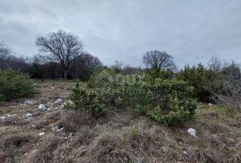 ISTRA, BARBAN - Veliko građevinsko zemljište za 4 vile, pogled na more, Barban, Terrain