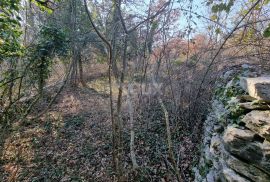 ISTRA, VODNJAN Kompleks građevinskog i poljoprivrednog zemljišta 5 ha, s ruševinom 50 m2, Vodnjan, Terrain