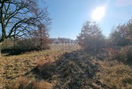 ISTRA, VODNJAN Kompleks građevinskog i poljoprivrednog zemljišta 5 ha, s ruševinom 50 m2, Vodnjan, Land