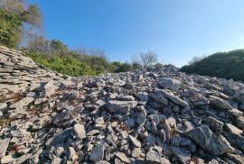 ISTRA, FAŽANA Predivan maslinik s kućicom - BLIZINA MORA!!, Fažana, Terra