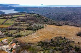 ISTRA,BARBAN - Građevinsko zemljište za 53 objekta s pogledom, Barban, Terra