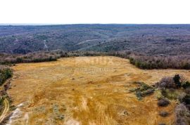 ISTRA,BARBAN - Građevinsko zemljište za 53 objekta s pogledom, Barban, Arazi