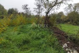 ISTRA, TINJAN - Građevinsko zemljište s idejnim projektom, Tinjan, Land