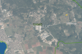 UMAG, OKOLICA - Vinograd, obrađeni, 1912 m2, poljoprivredno zemljište, Umag, Terrain