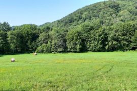 ISTRA, PAZIN - Istarska kamena kuća u srcu prirode, na prostranoj okućnici, Pazin, Haus