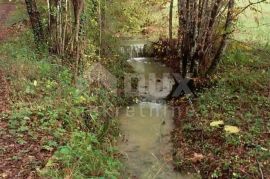 ISTRA, PAZIN - Istarska kamena kuća u srcu prirode, na prostranoj okućnici, Pazin, بيت