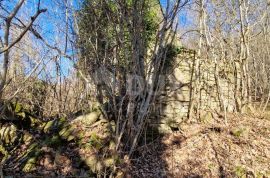 ISTRA, PAZIN - Istarska kamena kuća u srcu prirode, na prostranoj okućnici, Pazin, Maison