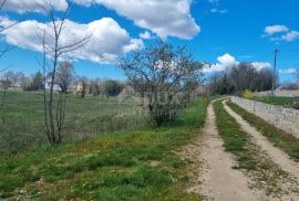 ISTRA,TINJAN- građevinsko zemljište sa građevinskom dozvolom!, Tinjan, Tierra