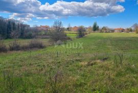 ISTRA,TINJAN- građevinsko zemljište sa građevinskom dozvolom!, Tinjan, Terreno