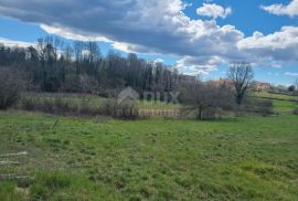 ISTRA,TINJAN- građevinsko zemljište sa građevinskom dozvolom!, Tinjan, Terrain