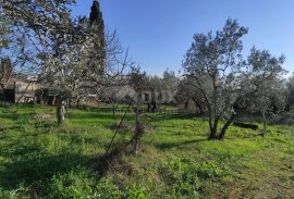 ISTRA, GALIŽANA - Građevinsko zemljište s pogledom na more, Vodnjan, Zemljište