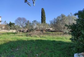 ISTRA, GALIŽANA - Građevinsko zemljište s pogledom na more, Vodnjan, Arazi