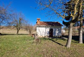 ISTRA, PIĆAN - Samostojeća kuća na prostranom građevinskom zemljištu, Pićan, Kuća