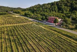 ISTRA, MOTOVUN - Hotel na jedinstvenom položaju i s jedinstvenom ponudom u Istri, Motovun, Коммерческая недвижимость