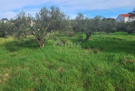 ZADAR, BIBINJE - zemljište za gradnju više stambenih jedinica, Bibinje, Land