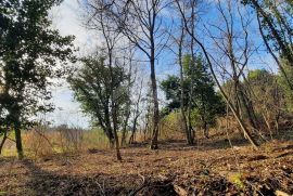 ISTRA, BUJE - Građevinsko zemljište 1150m2 sa ruševinom u okolici Buja, Buje, Terrain