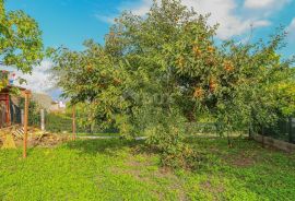 ISTRA, BRTONIGLA - Kuća sa uhodanim poslovnim prostorom, Brtonigla, Kuća