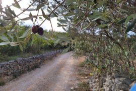 Otok Krk, Šilo -  Očišćeno, ravno poljoprivredno zemljište, buduće građevinsko, 600m do prekrasnih plaža, mora i supermarketa s pristupnim putem !, Dobrinj, أرض