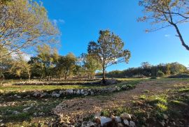 Otok Krk, Šilo -  Očišćeno, ravno poljoprivredno zemljište, buduće građevinsko, 600m do prekrasnih plaža, mora i supermarketa s pristupnim putem !, Dobrinj, Terreno