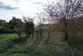 KASTAV, RUBEŠI- građevinsko zemljište 900m2 s pogledom na more  za stambenu zgradu-stanove/ obiteljsku kuću/ villu, Kastav, Terrain