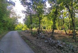 ISTRA, MOTOVUN - Prostrano zemljište s građevinskom dozvolom, Motovun, Terreno