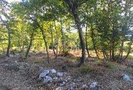 ISTRA, MOTOVUN - Prostrano zemljište s građevinskom dozvolom, Motovun, Tierra