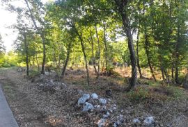 ISTRA, MOTOVUN - Prostrano zemljište s građevinskom dozvolom, Motovun, Terrain