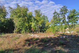 ISTRA, MOTOVUN - Prostrano zemljište s građevinskom dozvolom, Motovun, Γη