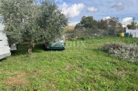 ISTRA, VRSAR - Građevinsko zemljište s potencijalom, Vrsar, Terreno