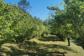 ISTRA, BUZET (okolica) – Apartmanska kuća s bazenom okružena mirom i prirodom, Buzet, Σπίτι