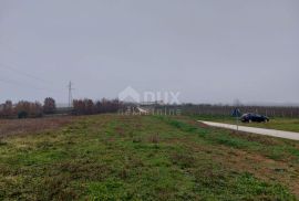 ISTRA, MOTOVUN - Građevinsko zemljište s pogledom na Butonigu, Motovun, Land